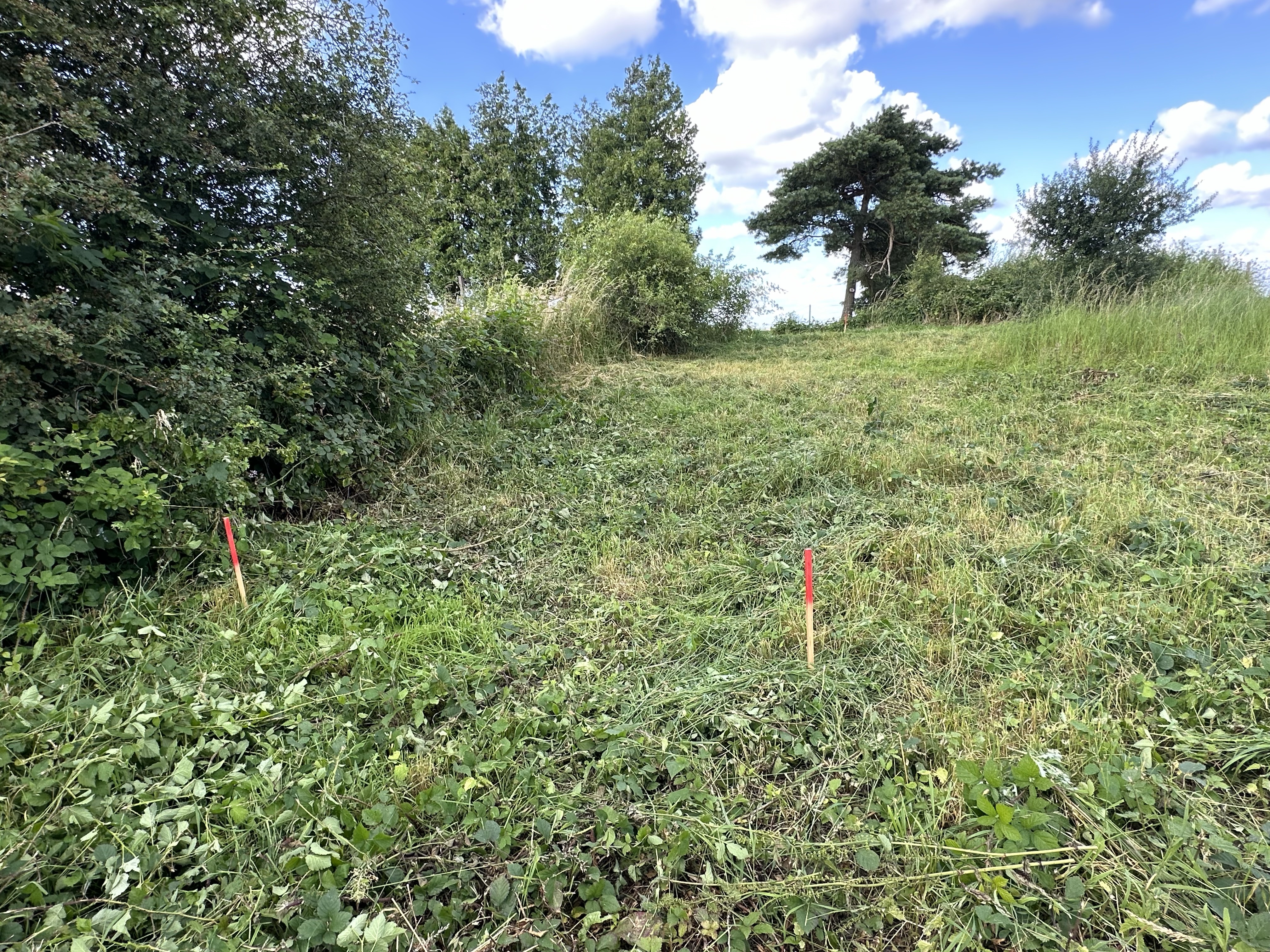 Surrounding landscape