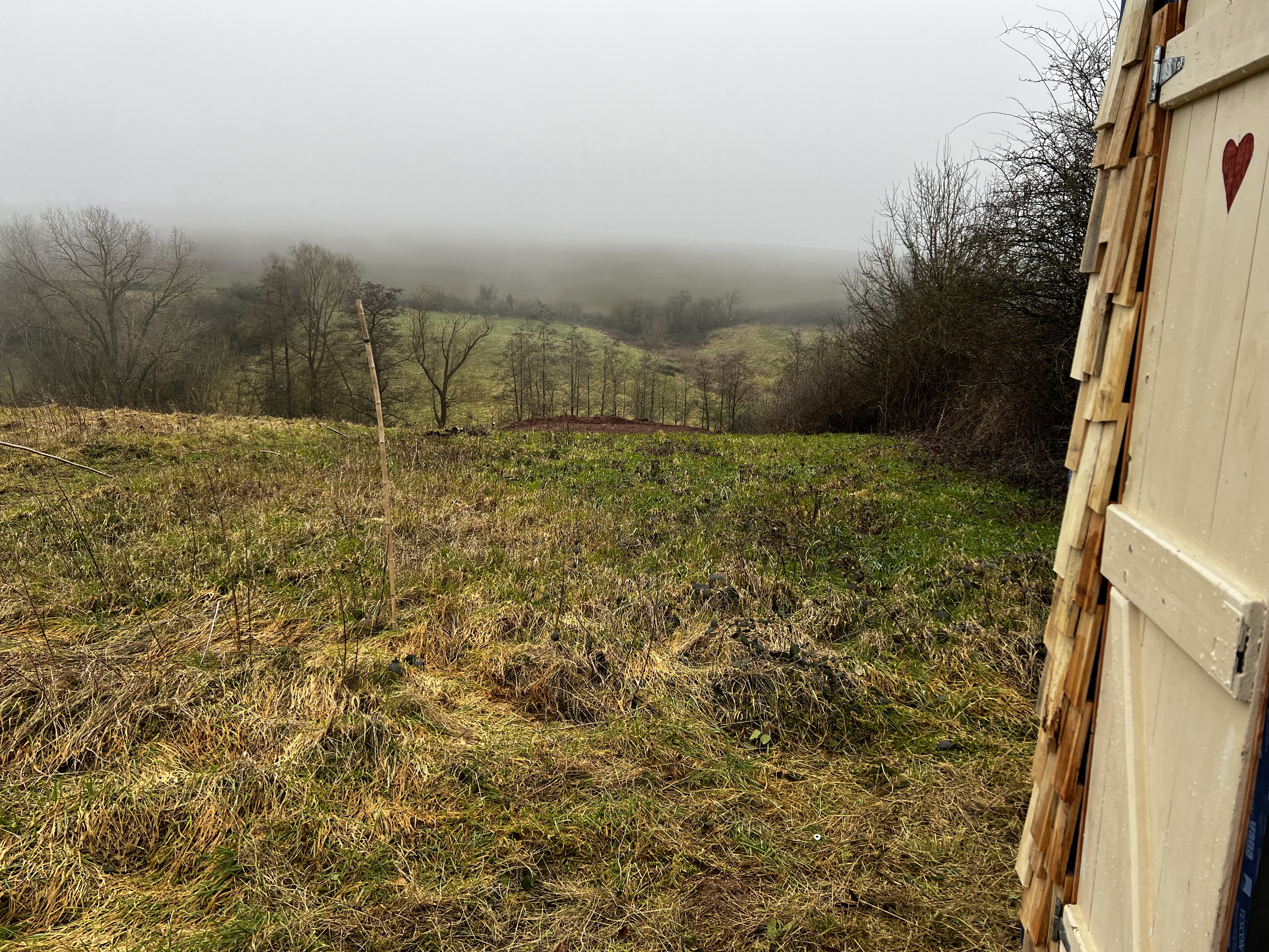 Belgian Ardennes scenery